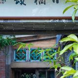 宝藏小店打卡｜梧桐山脚小橘颂，隐隐于市