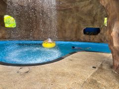 -太阳岛沙滩泳场水上乐园