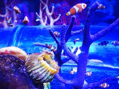 -沈阳海洋探索中心