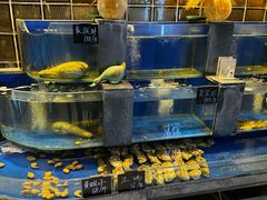 -观宴中餐厅
