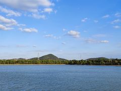 -羊山湖公园