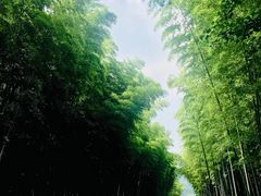 -天目湖御水温泉·度假酒店