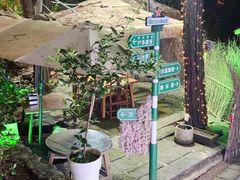 -小小饭店·休闲农庄·安吉松树林里的农家菜