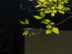 -汇龙潭