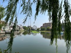 -金山嘴渔村