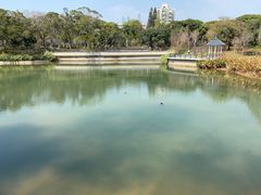 -四海公园(南山区)