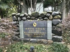 -张家港金凤凰度假村温泉