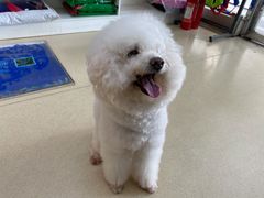-芭比堂动物医院广州顽皮分院