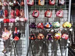 -猫咪博物馆(顶澳仔猫街店)