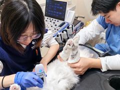-御宝贝24h宠物医院·转诊中心·CT核磁血透中心(厦门总院)