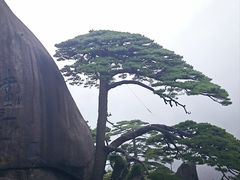 -黄山翡翠谷景区