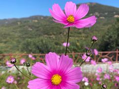 -潭柘厚院(桑峪村店)