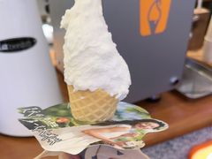 -野人先生Gelato(上海长宁龙之梦店)