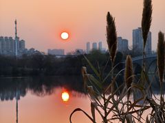 -金银湖国家城市湿地公园