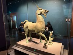 -广西壮族自治区博物馆