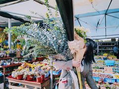 -三圣花乡旅游区