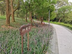 -上海市保健医疗中心