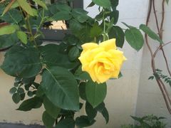 -花迹(富春江东街店)