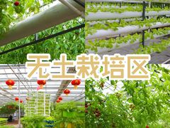 -长春农博园