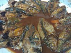 -金台阶鱼馆(于桥水库店)