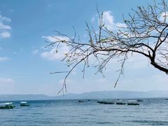 -抚仙湖禄充风景区