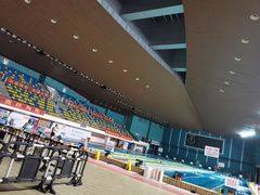 -重庆市奥林匹克体育中心-游泳跳水馆