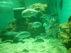 -洛阳龙门海洋馆