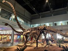 -自贡恐龙博物馆
