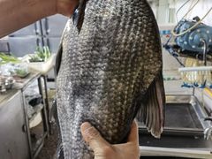 -春涛餐馆(下坝店)