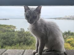 -小赖鱼馆