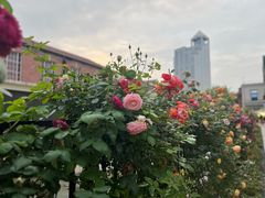 -La Creperie法餐厅(桃江路店)