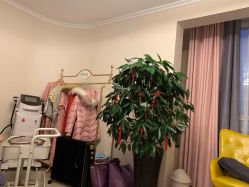 点击看大图 -贝美佳产后修复中心