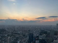 -六本木新城展望台(东京城市景观)
