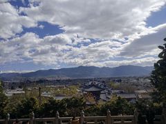 -内涵饵块