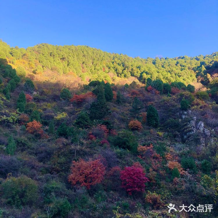 西安周末好去处🌈