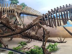 -延庆地质公园博物馆