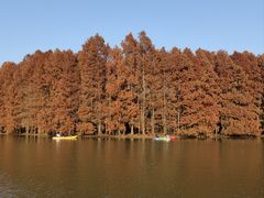 -上海海湾国家森林公园