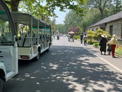 -日照海滨国家森林公园