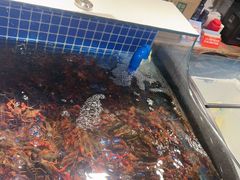 -破瓦寒窑·地摊烤羊排