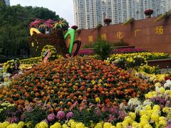 -西北湖绿化广场