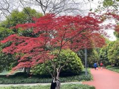 -杭州城北体育公园