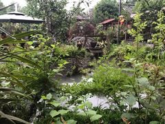 景观位-青城甲(青城山店)