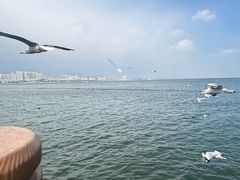 -大理洱海