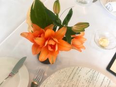 -蝶舍·MAISON PAPILLON