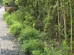 -苏州太湖国家湿地公园