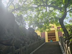 -冶父山国家森林公园