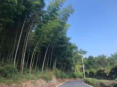 -龙女温泉度假酒店