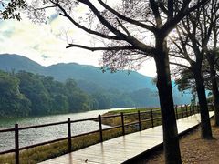 -广州市石门国家森林公园