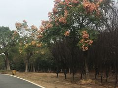 -艾溪湖湿地公园