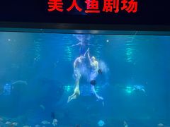 -福州罗源湾海洋世界旅游区